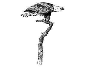 Bald Eagle on Branch 1710J Bird Rubber Stamp, Scenic, Animal, Nature Stamping