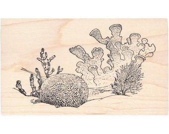 Coral 1463L Coral Reef Rubber Stamp, Ocean, Sea, Scenic, Landscape Stamping