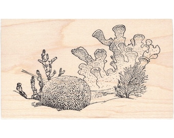 Coral 1463L Coral Reef Rubber Stamp, Ocean, Sea, Scenic, Landscape Stamping
