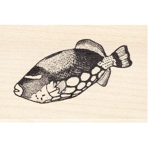 Clown Triggerfish Small 1470D Beeswax Rubber Stamps Unmounted, Cling, Mounted Stamp Scenic, Landscape Stamping