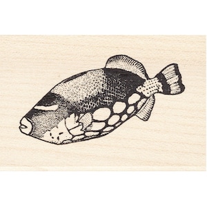May include: Black and white line drawing of a triggerfish with a spotted pattern. The fish is swimming to the right.