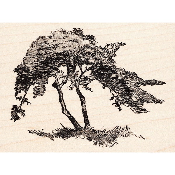 Weathered Tree 1262K Beeswax Rubber Stamps Unmounted, Cling, Mounted Stamp Scenic, Landscape Stamping