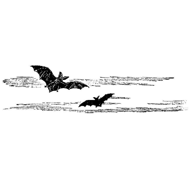 以下が含まれることがあります： 夜空を飛ぶ2匹のコウモリの白黒のイラスト。コウモリは雲の背景にシルエットで描かれています。