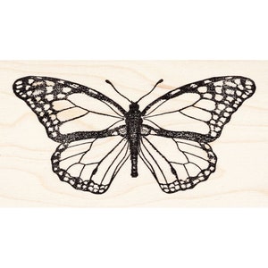 May include: A black and white line drawing of a butterfly with intricate wing patterns.