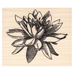 Large Water Lily 717M Beeswax Rubber Stamps Flower Unmounted, Cling, Mounted Stamp Scenic, Landscape Stamping