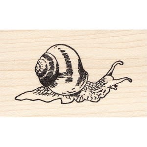 Escargot 1252H Tampons en caoutchouc en cire d’abeille non montés, Accrochés, Tampon monté Scénique, Marquage paysager