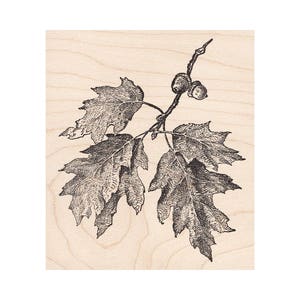 Oak Branch 1279N Beeswax Rubber Stamps Unmounted, Cling, Mounted Stamp Scenic, Landscape Stamping