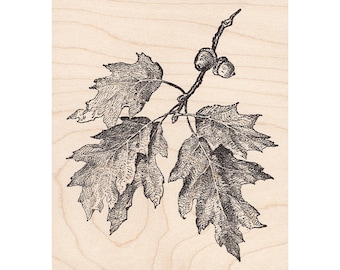 Oak Branch 1279N Beeswax Rubber Stamps Unmounted, Cling, Mounted Stamp Scenic, Landscape Stamping