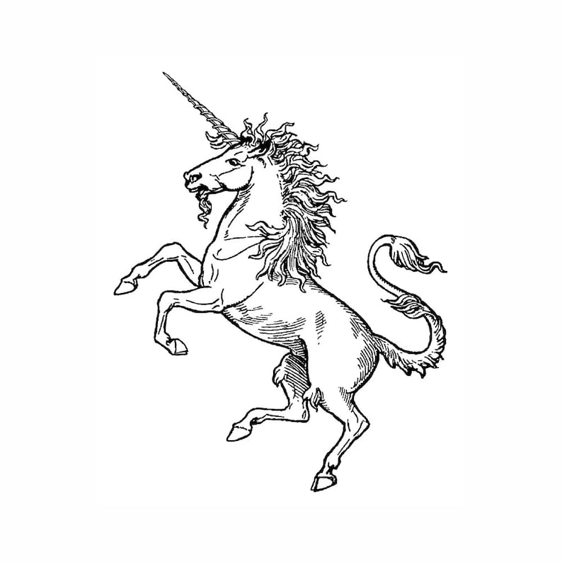 Рисунок единорог чб