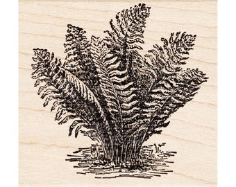 Water Fern 951H Beeswax Rubber Stamps Unmounted, Cling, Mounted Stamp Scenic, Landscape Stamping