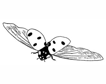 Ladybug Flying 1736E Butterfly Rubber Stamp, Animal, Insect, Nature Stamping