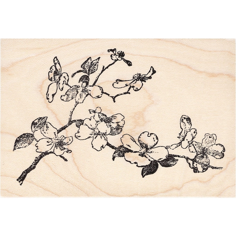 Landscape Stamping Floral Branch 1334LBeeswax Rubber Stamps Unmounted Mounted Stamp Scenic Cling