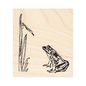 Frog & Insect 1489I Beeswax Rubber Stamps Unmounted, Cling, Mounted Stamp Animal, Nature Stamping