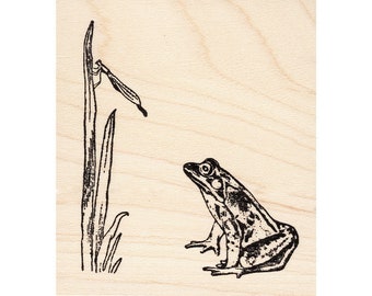 Frog & Insect 1489I Beeswax Rubber Stamps Unmounted, Cling, Mounted Stamp Animal, Nature Stamping