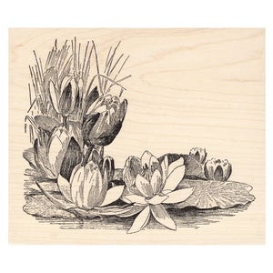 Water Lily Corner 1325M Beeswax Rubber Stamps Unmounted, Cling, Mounted Stamp Scenic, Landscape Stamping