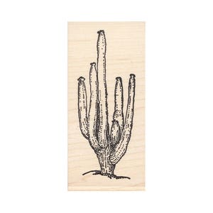 Hill Cactus 673H Beeswax Rubber Stamps Unmounted, Cling, Mounted Stamp Scenic, Landscape Stamping