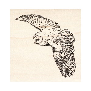 Tampon en caoutchouc pour oiseaux, chouette effraie en vol 1633G, estampage animal, scénique, paysage