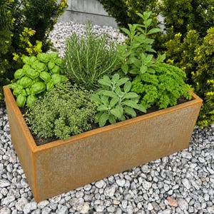 May include: A rectangular planter with a weathered, rust-coloured metal finish containing a variety of fresh green herbs including basil, rosemary, thyme, sage, and parsley, arranged together in the soil within the container.