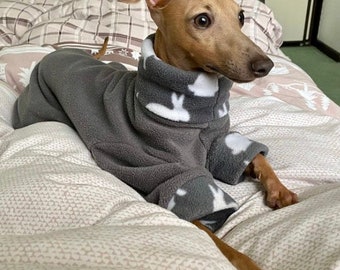 greyhound clothing for humans