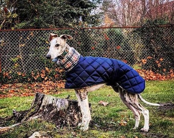 whippet coats for winter
