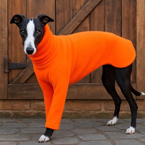 May include: A black and white dog wearing a bright orange fleece dog coat. The dog is standing on a brick and stone surface in front of a wooden door. The coat covers the dog's body and legs.