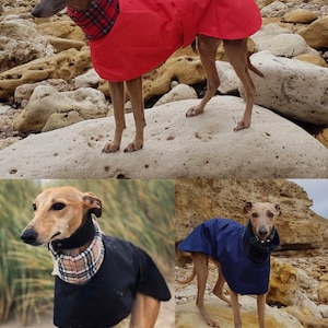 Manteau Greyhound, Manteau pour chien, Manteau doublé polaire, Manteau Whippet, Veste pour chien, Imperméable pour chien, Veste Whippet, image 8