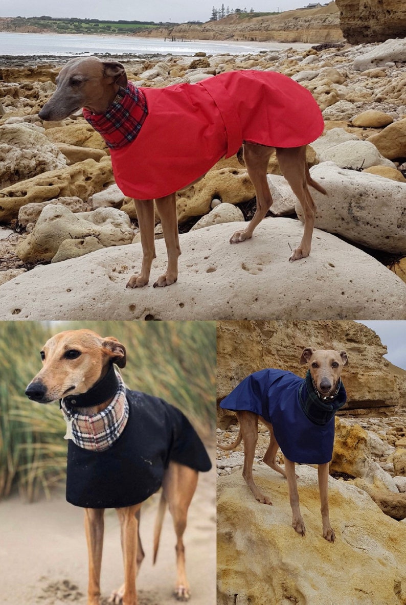 Manteau Greyhound, Manteau pour chien, Manteau doublé polaire, Manteau Whippet, Veste pour chien, Imperméable pour chien, Veste Whippet, image 8