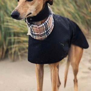 Manteau Greyhound, Manteau pour chien, Manteau doublé polaire, Manteau Whippet, Veste pour chien, Imperméable pour chien, Veste Whippet, image 1