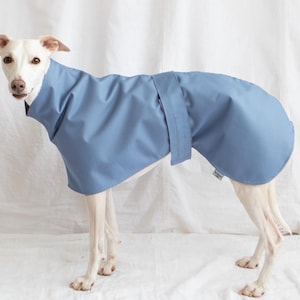 Raincoats for whippets  raincoats for greyhound  waterproof Raincoat for whippets  Italian greyhound raincoat