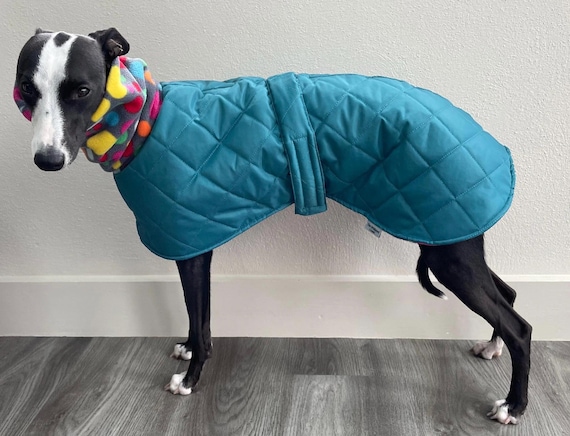 Waterproof Winter Whippet and Greyhound Quilted Coats Etsy Canada