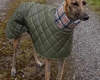 saluki winter coats