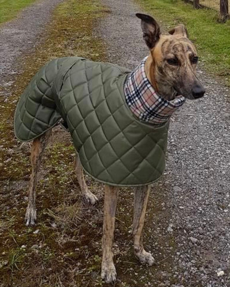 Waterproof winter greyhound coats. Winter coats for greyhound. Greyhound Fleece Coat UK image 2