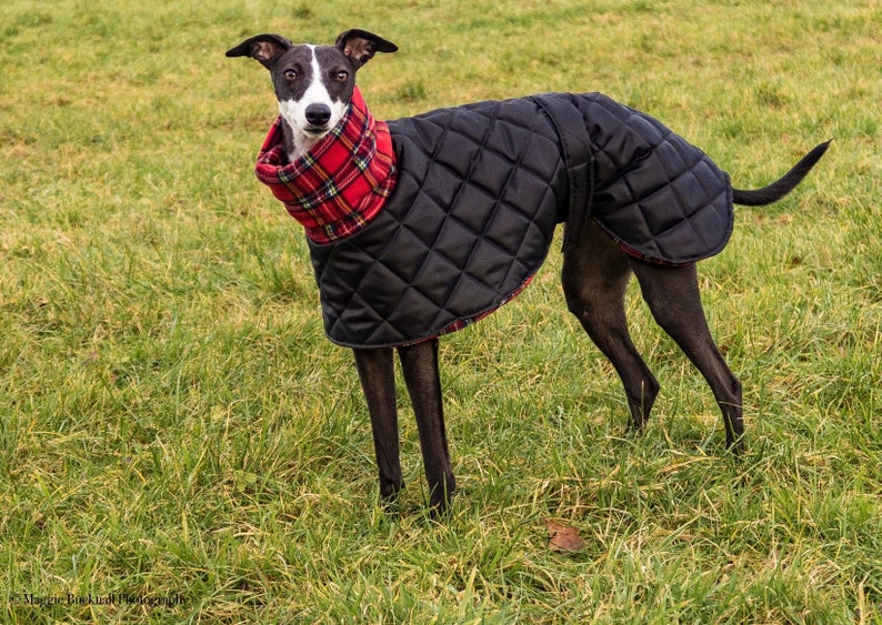 Whippet Waterproof Winter Quilted Coats With a Long Fleece Etsy