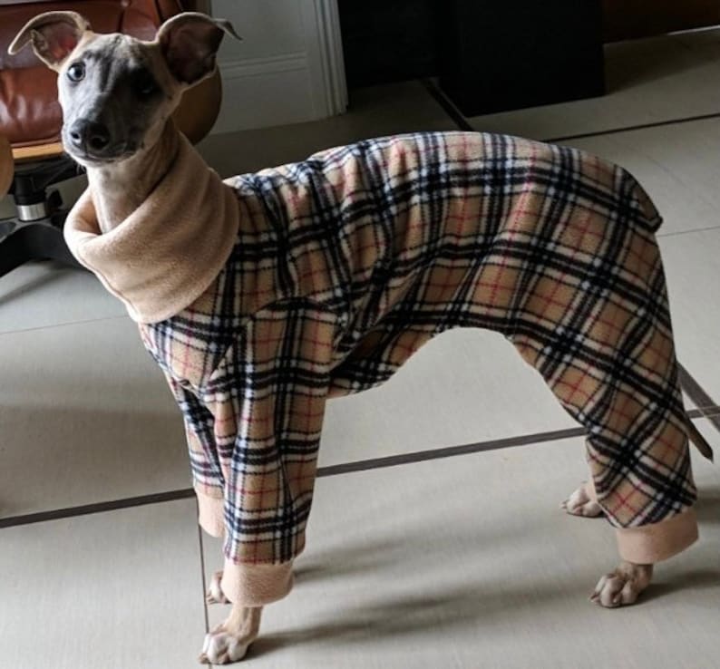 Greyhound Pyjamas, Greyhound Clothing, Greyhound Fleece Pjs, Dog Pyjamas, Whippet Clothing, whippet pyjamas , image 5