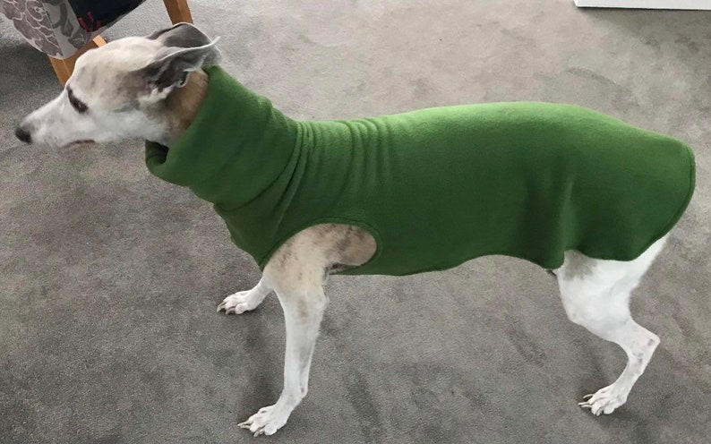 Greyhound and whippet,sighthound fleece jumpers / Sleeveless Sweater/pullover/vest MOSS