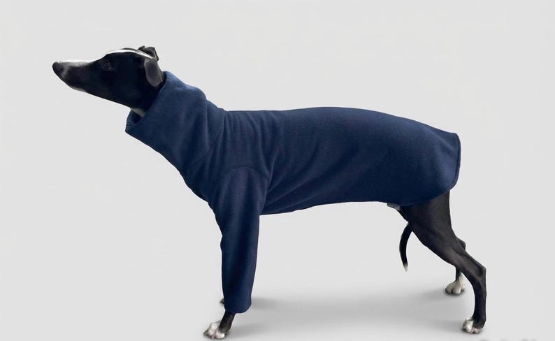 May include: A navy blue dog sweater with long sleeves, covering the dog's body. The dog is black with white markings on its paws. The sweater has a high collar and is made of a soft material.