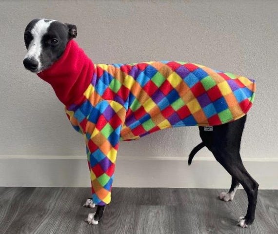 Greyhound pyjamas hotsell