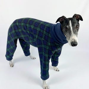 Könnte beinhalten: Ein Hund in einem blau-grün karierten Fleece-Overall. Der Overall hat einen hohen Kragen und bedeckt die Beine und den Oberkörper des Hundes. Der Hund hat ein schwarz-weißes Gesicht und steht auf einer weißen Oberfläche.