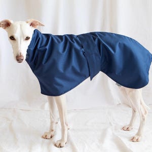 Könnte beinhalten: Ein einfarbiger, marineblauer Hundemantel mit hohem Kragen und einem Wickeldesign, das den Rücken und den Rumpf bedeckt. Das Kleidungsstück wird von einem weißen Hund mit kurzem Fell getragen und zeigt eine glatte, schlichte Stoffkonstruktion mit einem kleinen Etikett.