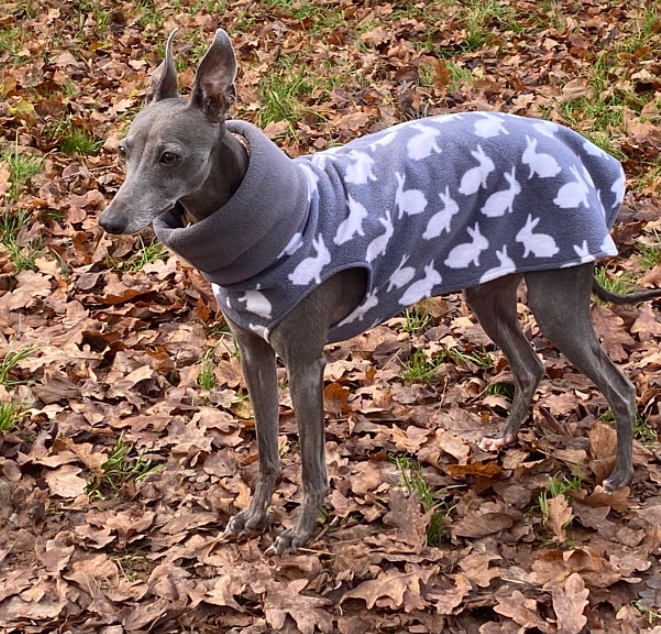 whippet sweaters