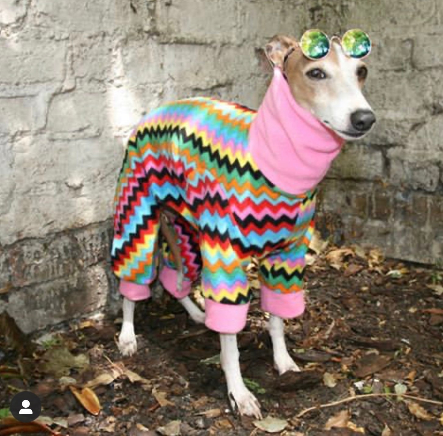 Greyhound Pyjamas Greyhound Clothing Greyhound Fleece Pjs Etsy