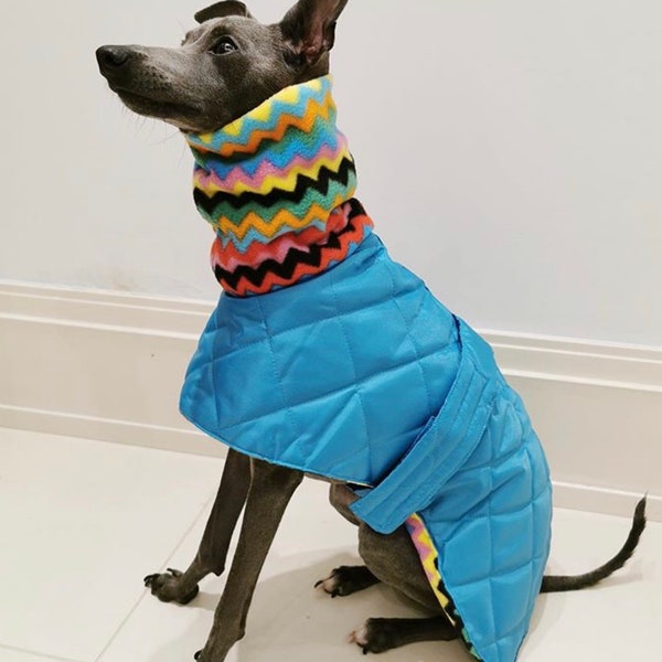 Italian greyhound quilted waterproof winter coats,Cirneco dell'Etna coats,whippet pup coats,dog coats custom made