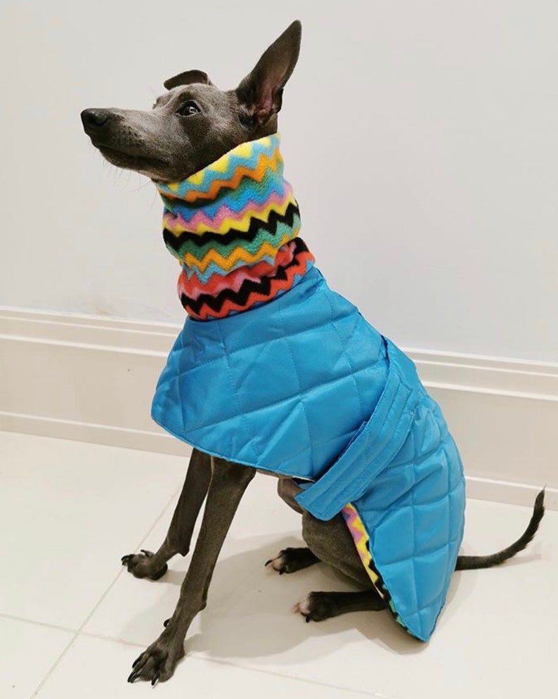 Italian greyhound quilted waterproof winter coats,Cirneco dell'Etna coats,whippet pup coats,dog coats custom made image 1