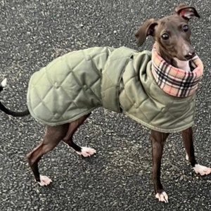 Italian greyhound quilted waterproof winter coats,Cirneco dell'Etna coats,whippet pup coats,dog coats custom made image 8