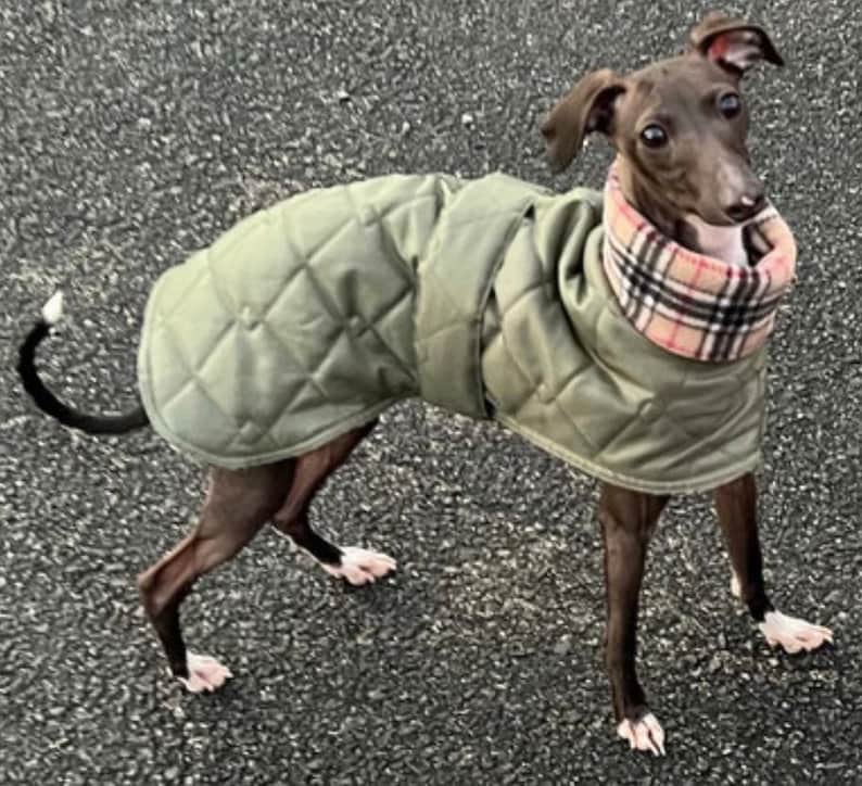 Italian greyhound quilted waterproof winter coats,Cirneco dell'Etna coats,whippet pup coats,dog coats custom made image 8