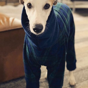 Greyhound Pyjamas, Greyhound Clothing, Greyhound Fleece Pjs, Dog Pyjamas, Whippet Clothing, whippet pyjamas , image 8