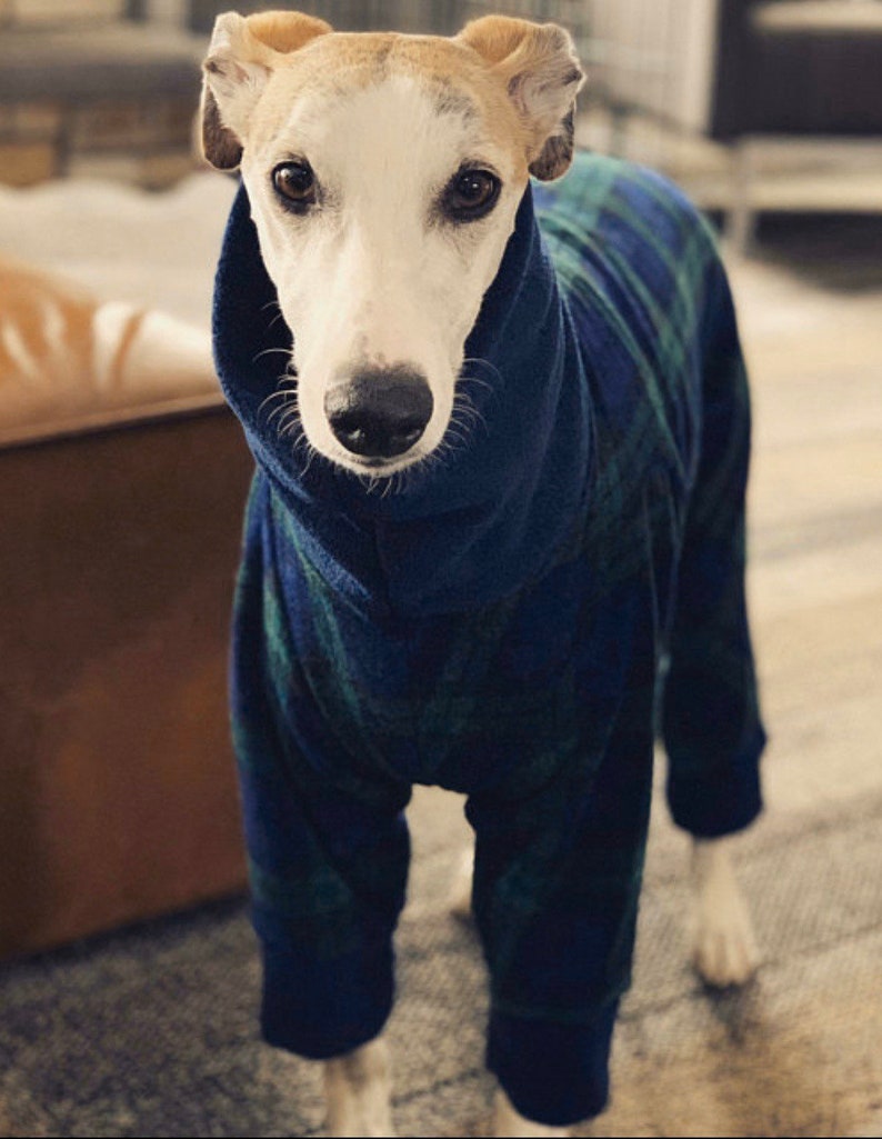 Greyhound Pyjamas, Greyhound Clothing, Greyhound Fleece Pjs, Dog Pyjamas, Whippet Clothing, whippet pyjamas , image 8