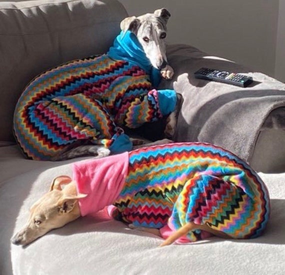greyhound pyjamas