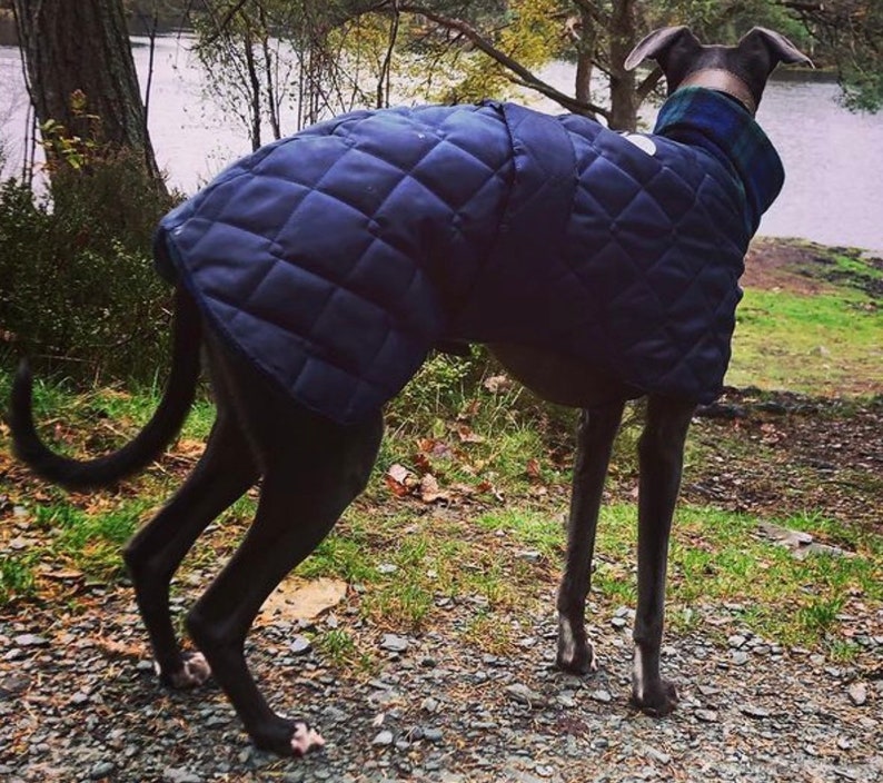 Waterproof winter greyhound coats. Winter coats for greyhound. Greyhound Fleece Coat UK image 7