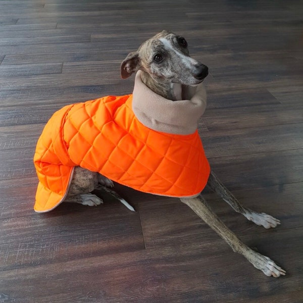 High Visibility whippet coats ,greyhound , Lurcher, saluki waterproof winter quilted coats whippet jackets, sighthound coats made in the uk